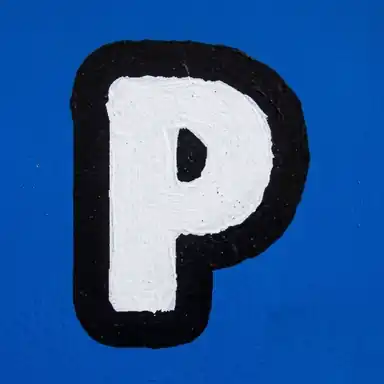 B20PUNK brand logo